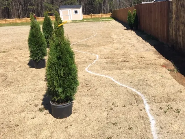 landscape designs 