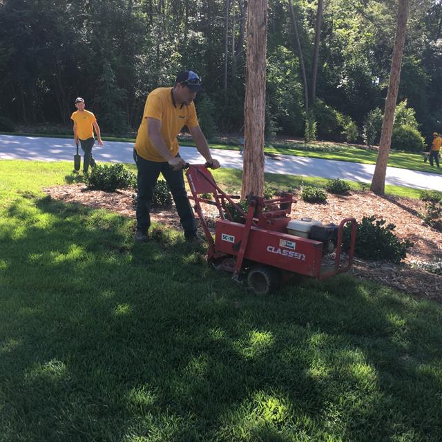 mowing the lawn