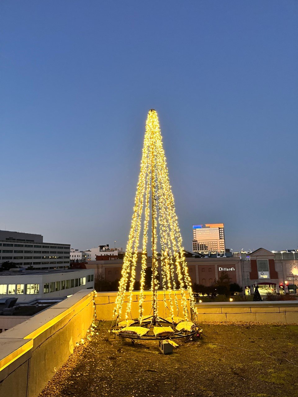 tree of lights