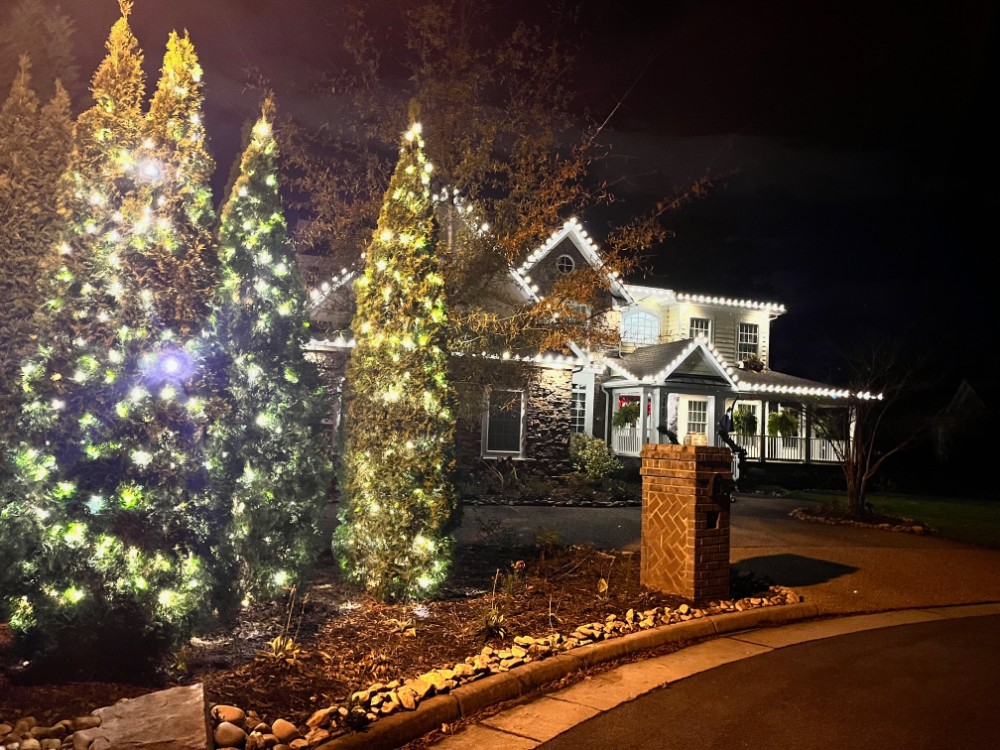 warm white lights