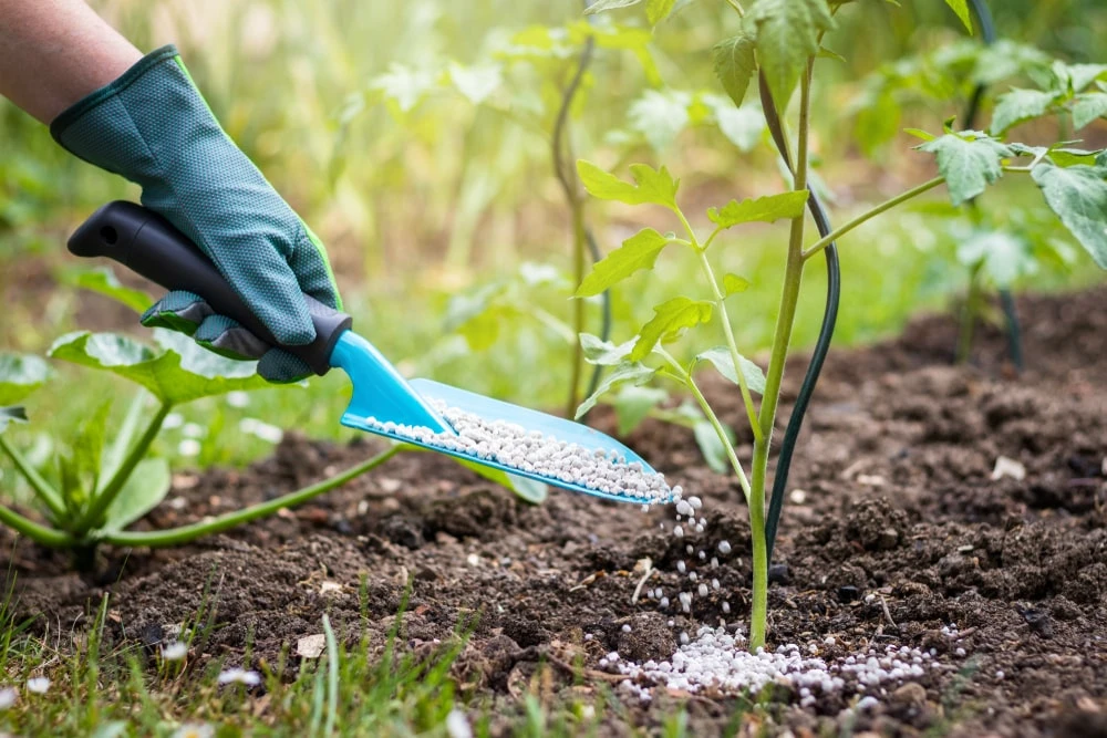Preparing Your Garden for Winter Fertilization