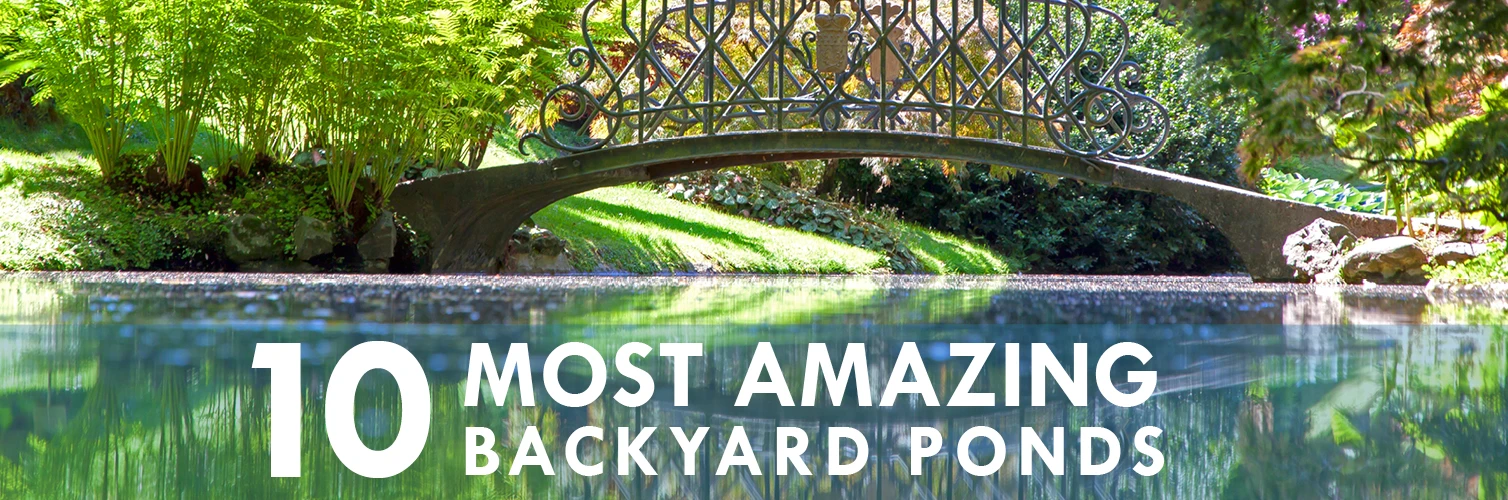 Pond and bridge with text-10 most amazing backyard ponds