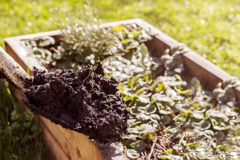 Landscaper adding compost to vegetable garden