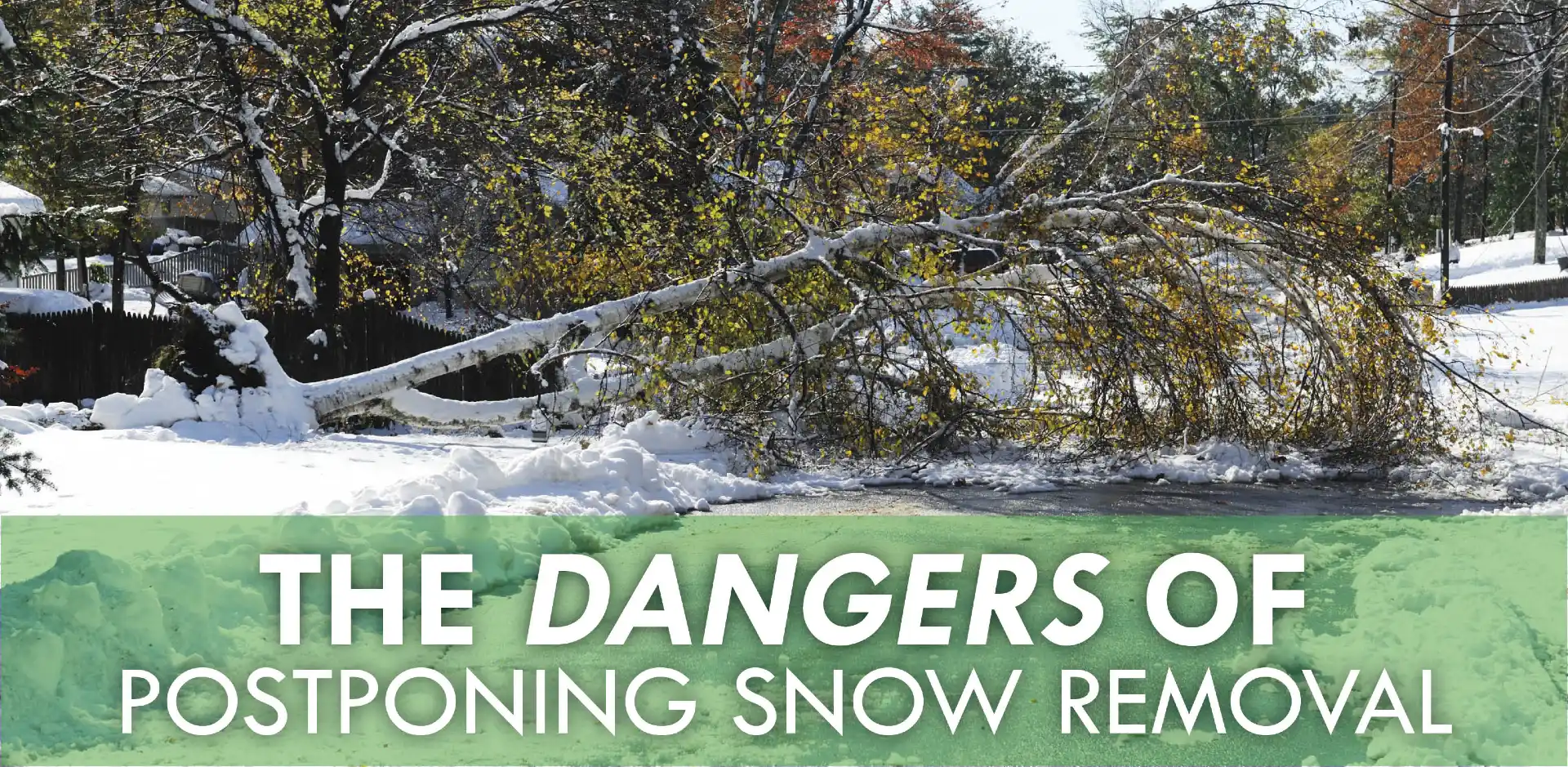 Fallen tree and snow with text-The dangers of postponing snow removal