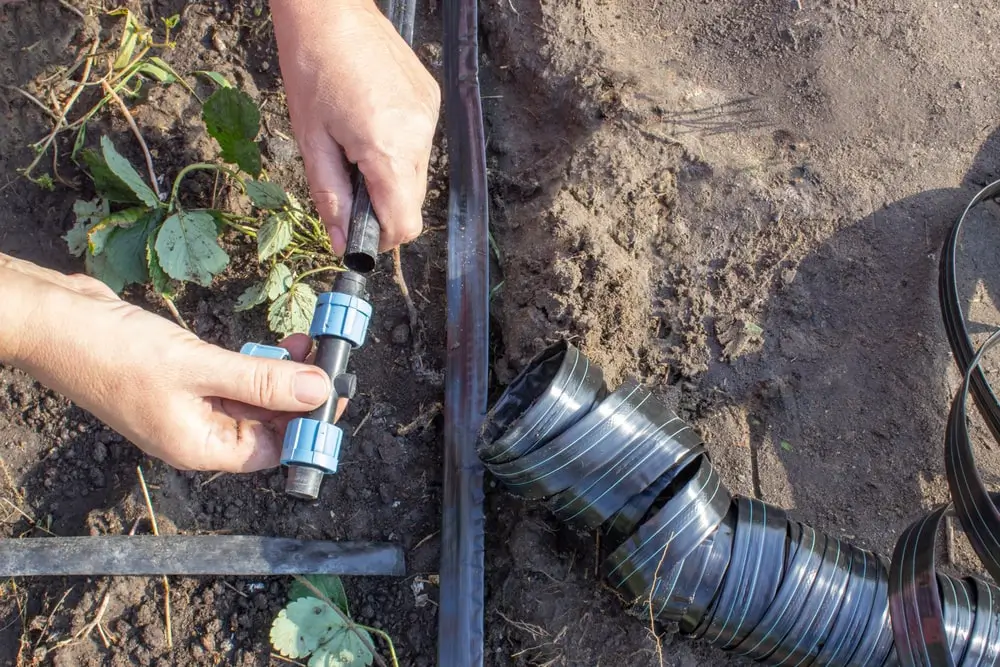 Landscaper connecting drip irrigation tubes