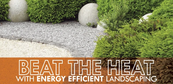Nice landscape with text: "Beat the heat with energy efficient landscaping"