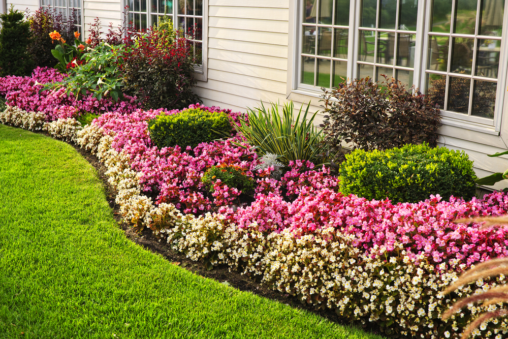 Residential garden bed with flowers