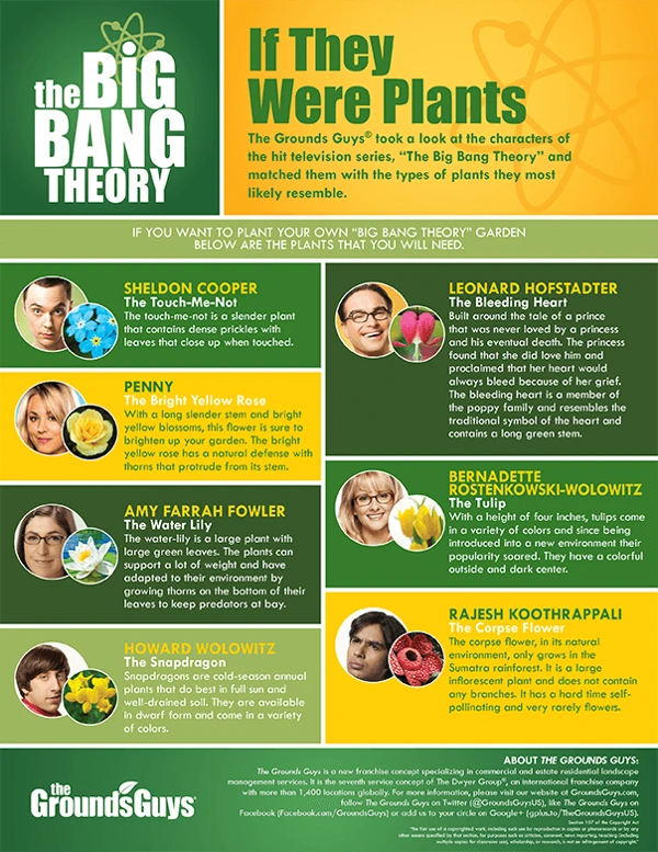 If the Big Bang Theory characters were flowers infographic