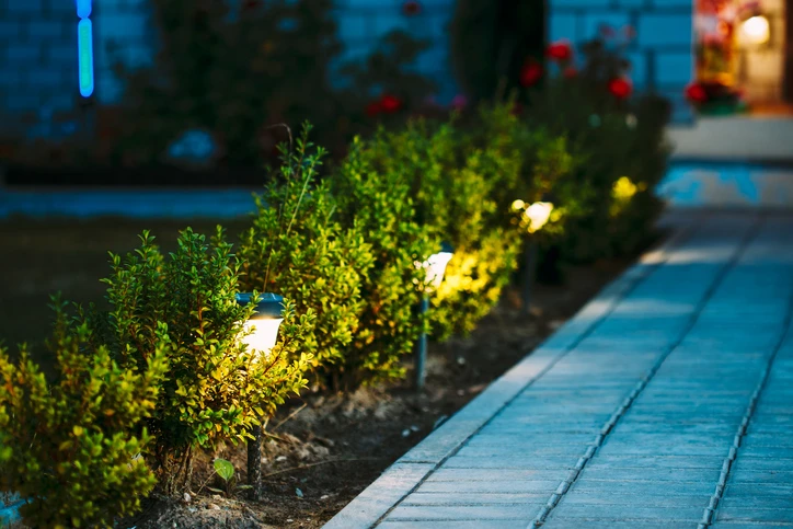 pathway with plants and outdoor lights