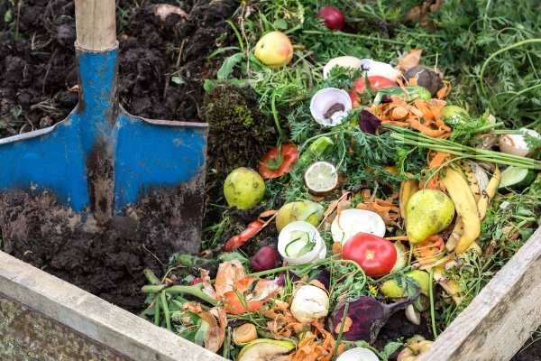 Shovel in compost for vegetable garden