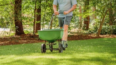 Man fertilizing and seeding residential backyard lawn with manual grass fertilizer spreader.