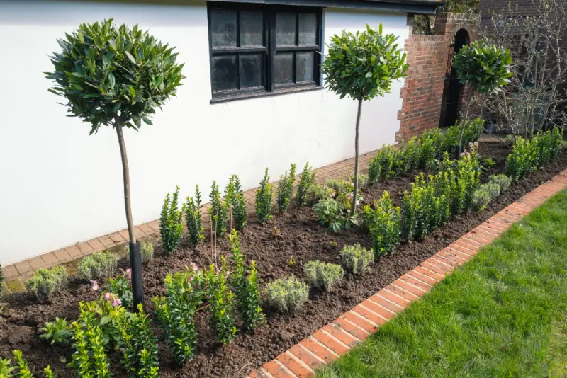 Plant bed with brick edging
