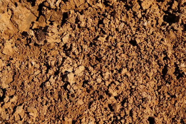 clay soil.