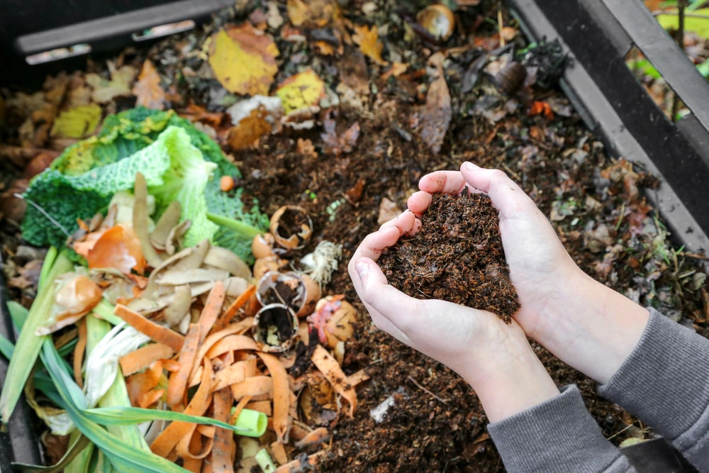 Hands holding compost for garden