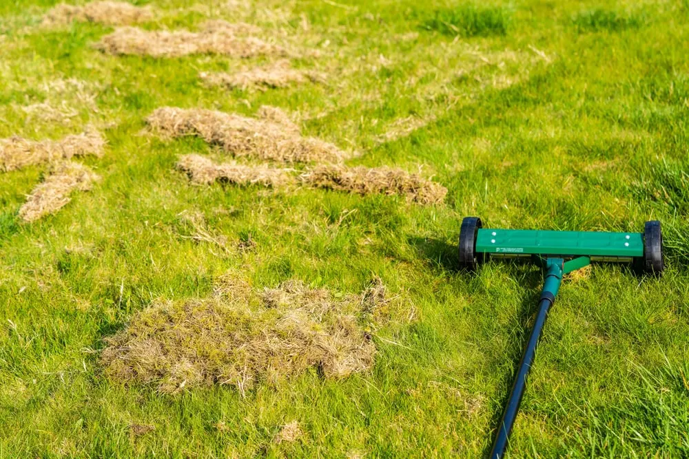 Dethatching tool on grass