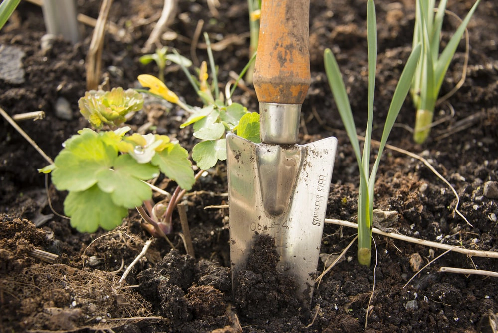 Garden shovel in soil