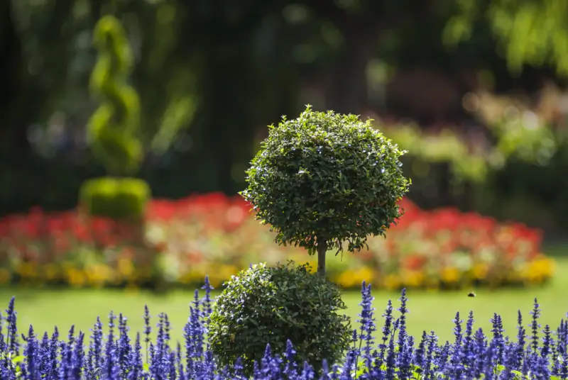 Topiary in a flower garden