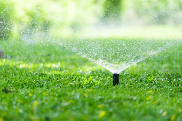Automatic sprinkler watering a residential lawn