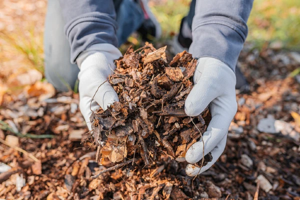 Hands Holding Mulch with Leaves and Twigs | The Grounds Guys of Gettysburg