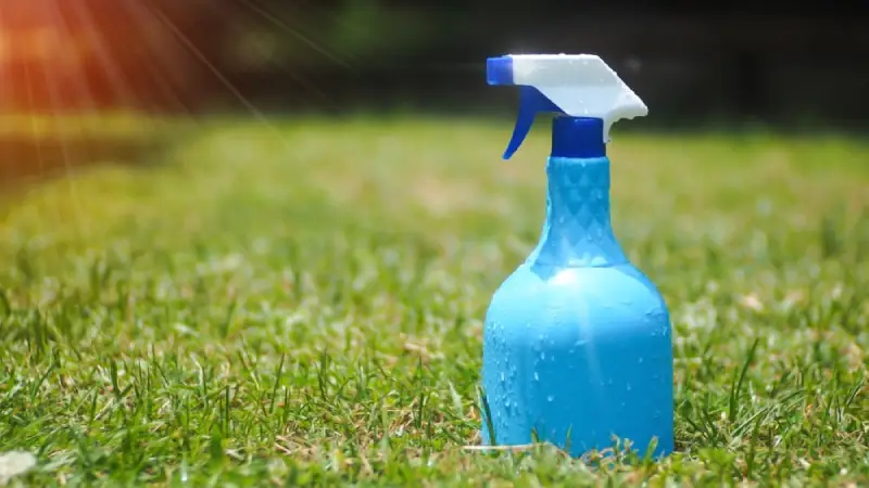 Spray bottle of organic moss killer on lawn