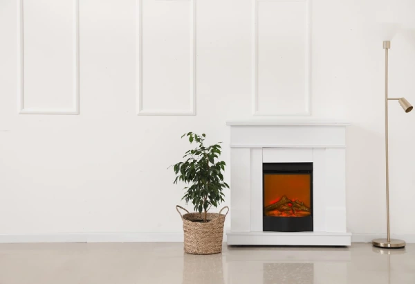 Plant indoors next to a fireplace