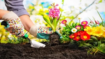 How to Prepare Flower Beds for Spring Planting