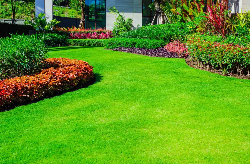 Residential lawn
