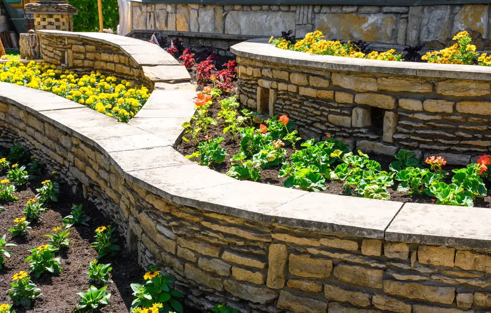 Residential landscape with retaining walls.