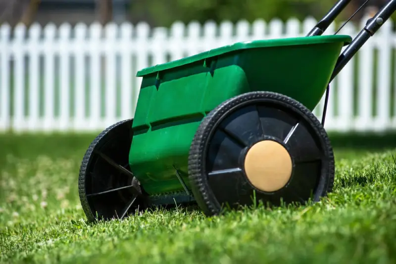 Lawn seed spreader on grass