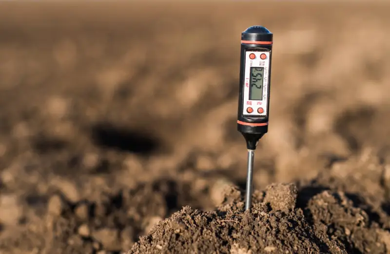 pH testing tool in soil