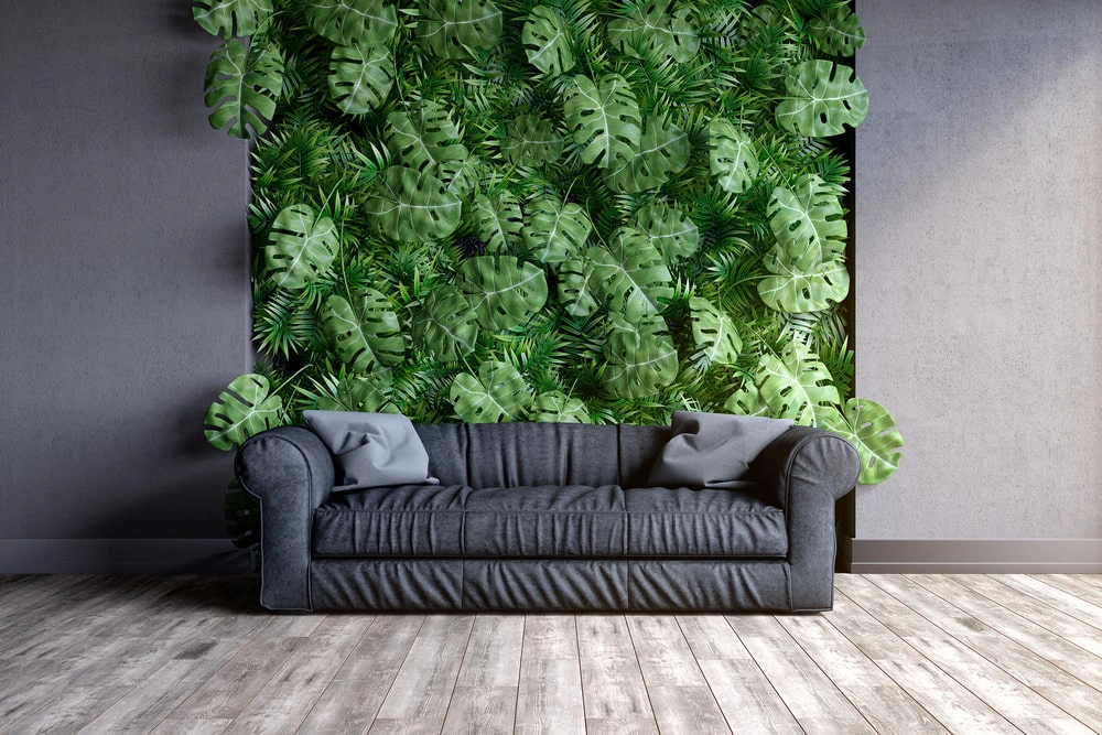 Vertical garden behind a couch in a home