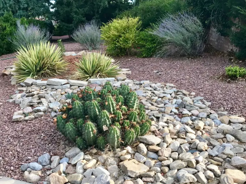 Residential yard with xeriscaping.