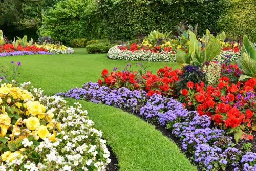 Colorful-Flower-Beds