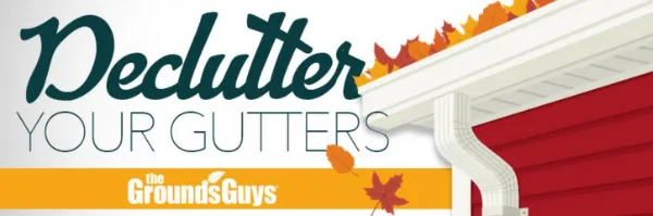 Declutter Your Gutters