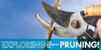 Pruning shears with text: "Exploring the benefits of...pruning!"