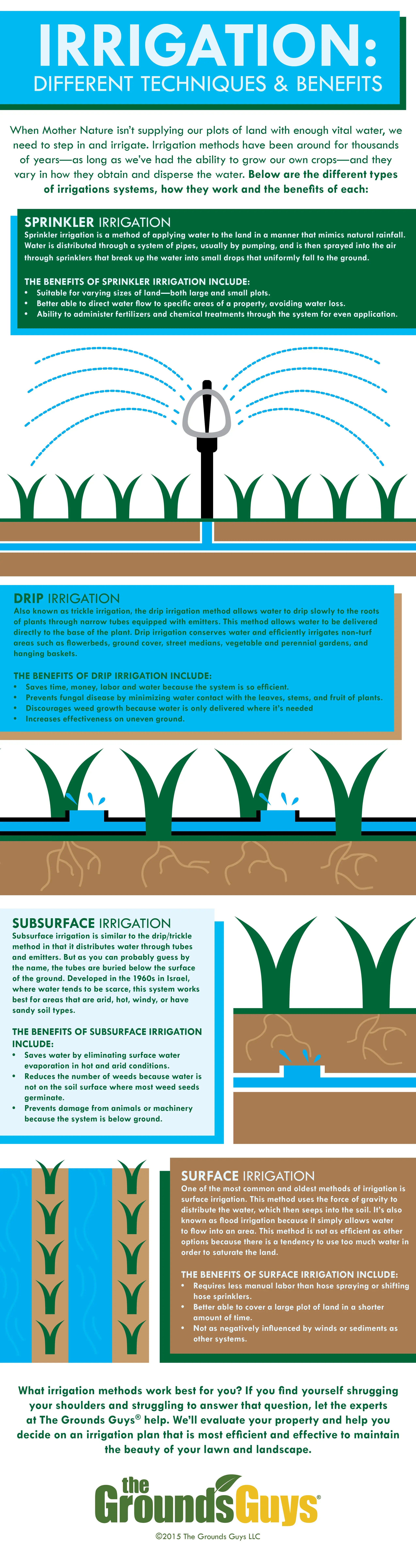 Irrigation: Different Techniques and Benefits infographic