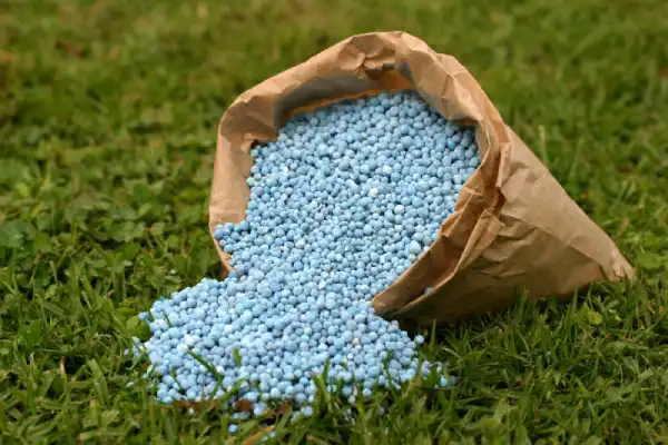 Lawn fertilizer beads in a paper bag spilling onto grass.