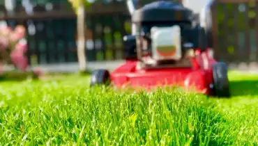 Red lawn mower cutting bright-green grass.