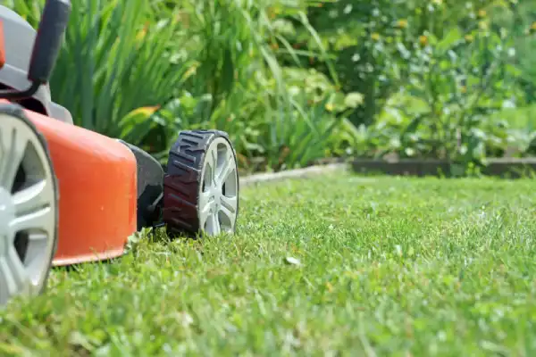 Red lawn mower being used on very low-cut grass.