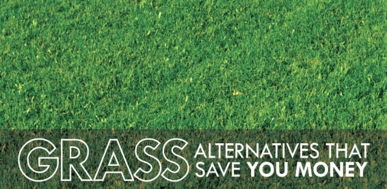 Grass with text: "Grass alternatives that save you money"