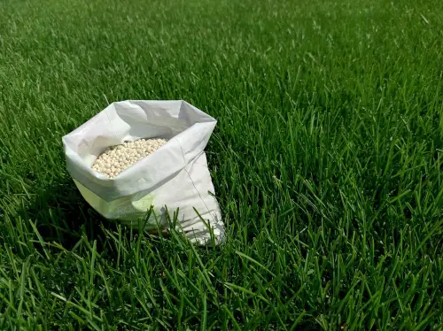Bag of organic fertilizer on lawn