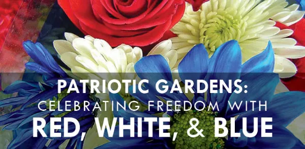Red, white, and blue flowers with text: Patriotic gardens: celebrating freedom with red, white, and blue.