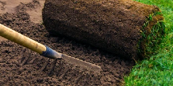 Person raking dirt under roll of grass sod.