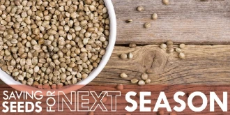 Bowl of seeds with text: "Saving seeds for next season"