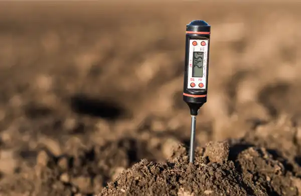 A pH tester in soil.