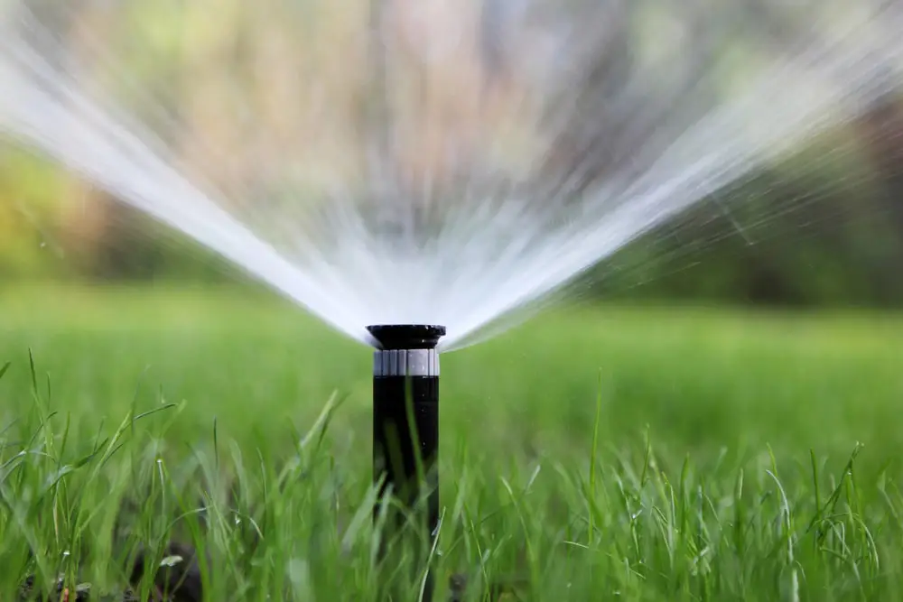 Automatic sprinkler system watering grass