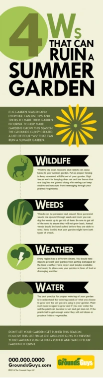 4 Ws that can ruin a summer garden infographic