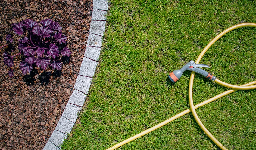 garden hose lying on a lawn
