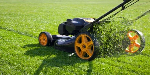 lawn clippings fly from back of lawnmower as grass is being cut