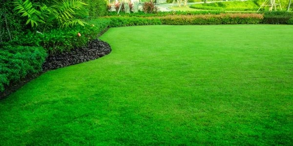 A vibrant, green, plush front yard lawn with tall and short multicolored shrubs and flowers designed in a beautiful rounded shape.